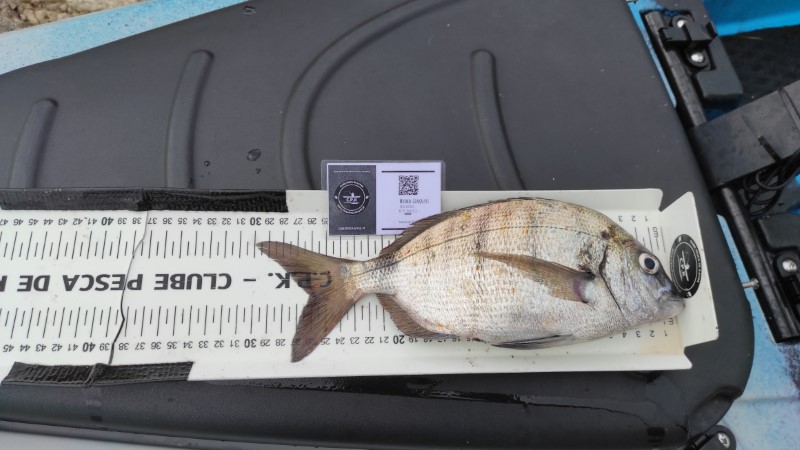 Fish Measure Picture